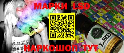 гидропоника Будённовск