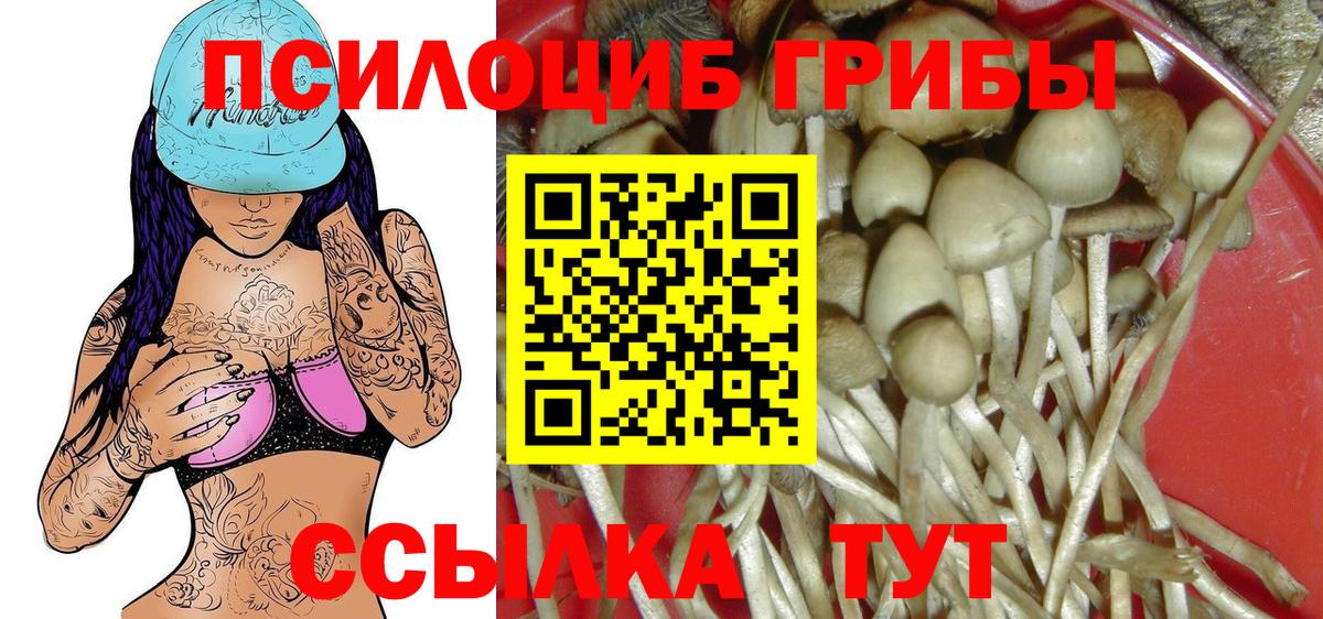 Псилоцибиновые грибы GOLDEN TEACHER  Галлюциногенные грибы мухоморы  Вход с VPN  Минеральные Воды 